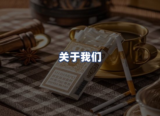 关于我们